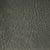 Coastal Gray / Ash